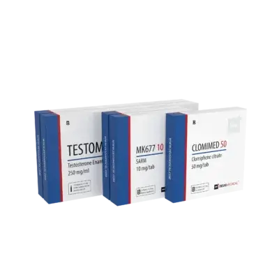 BULKING STACK Paket und Zyklus für Anfänger